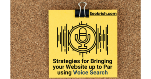 Text Search Form and Voice Search